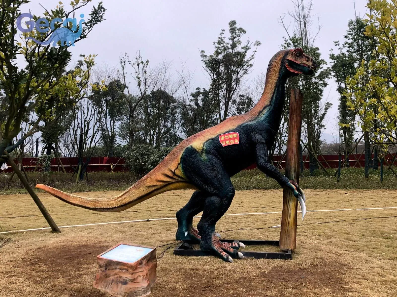 Dinosaur Exhibition in Guiyang
