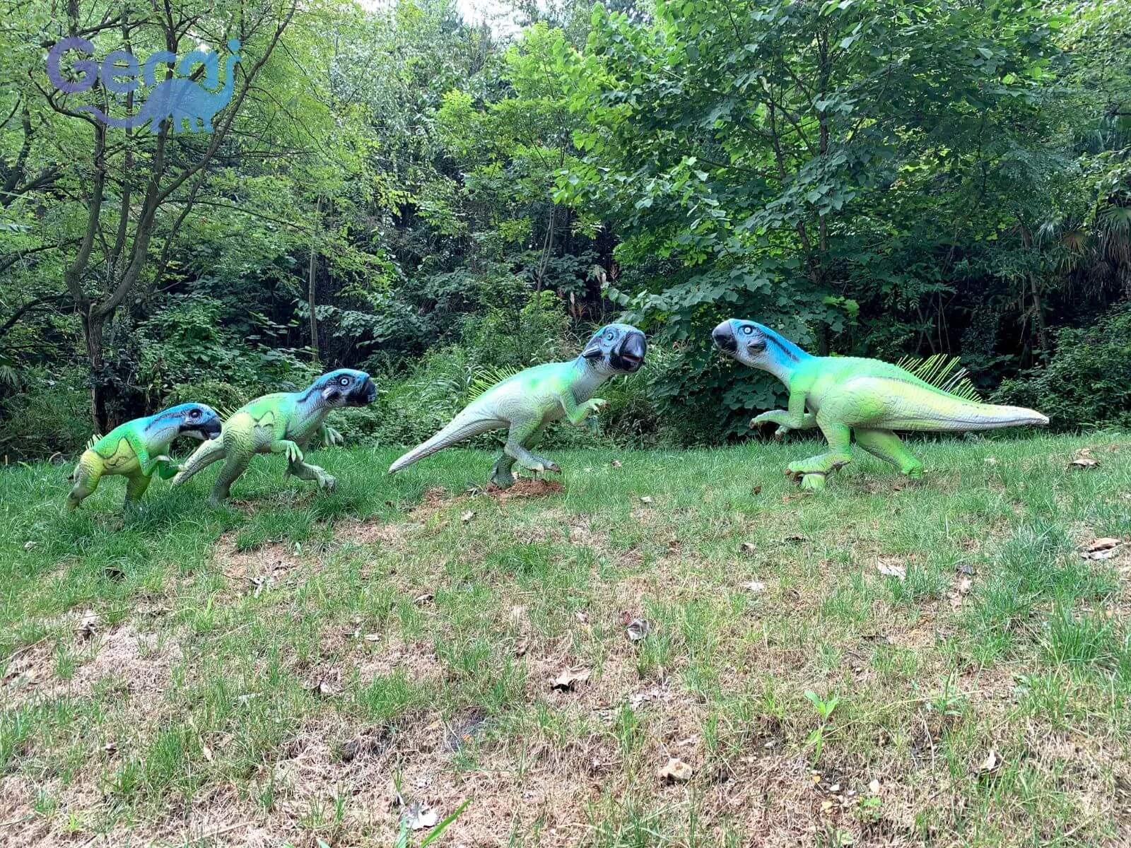 Dinosaur Project in Guangzhou