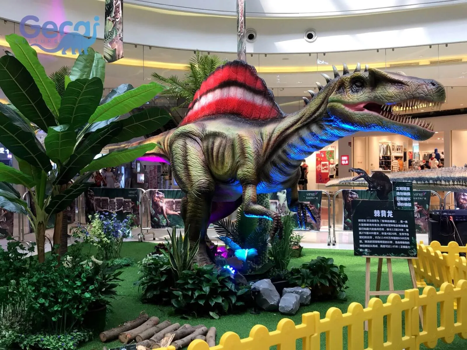Dinosaur Exhibition in Xi'an