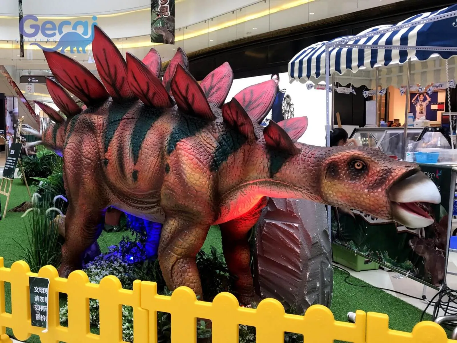Dinosaur Exhibition in Xi'an
