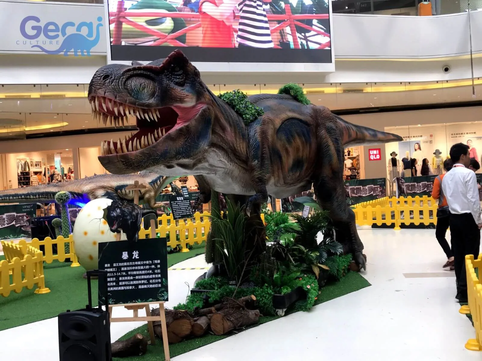 Dinosaur Exhibition in Xi'an