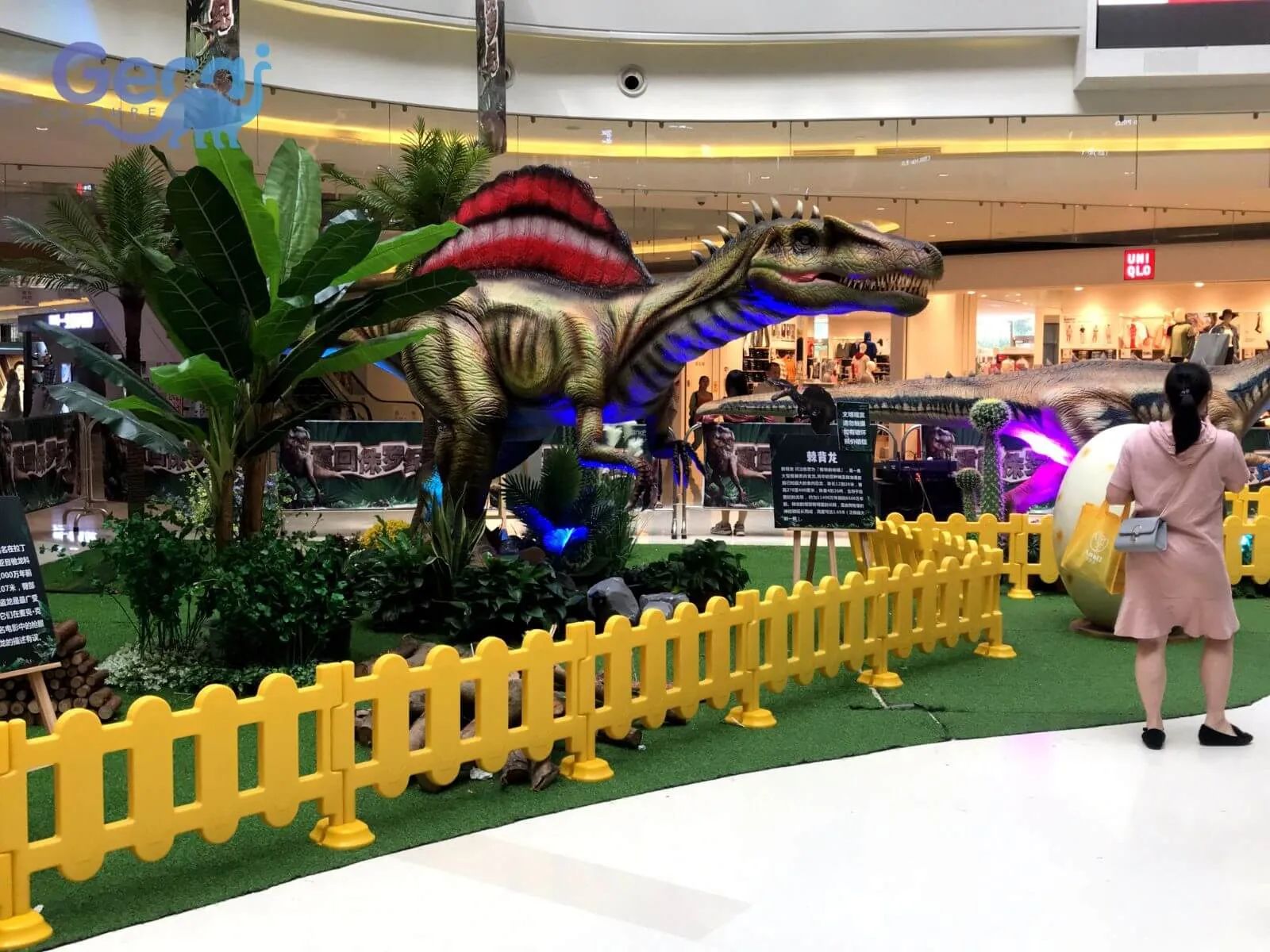 Dinosaur Exhibition in Xi'an