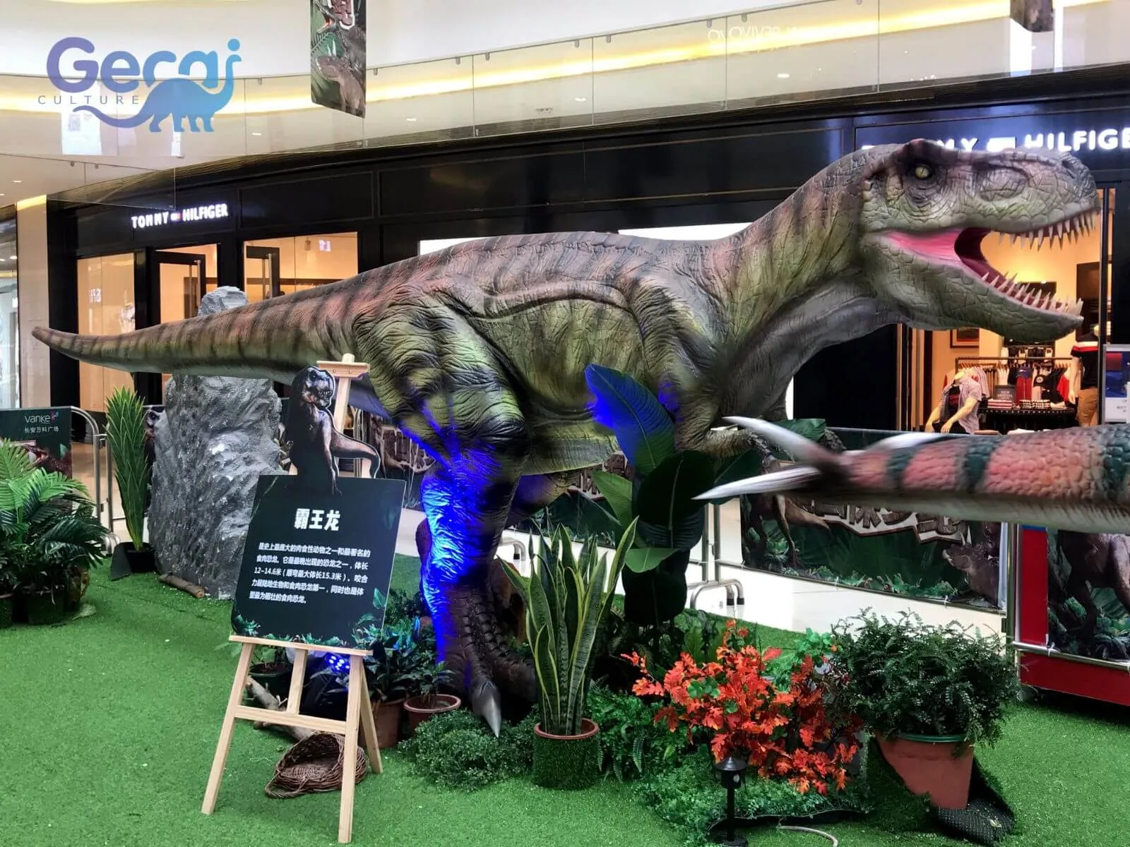 Dinosaur Exhibition in Xi'an