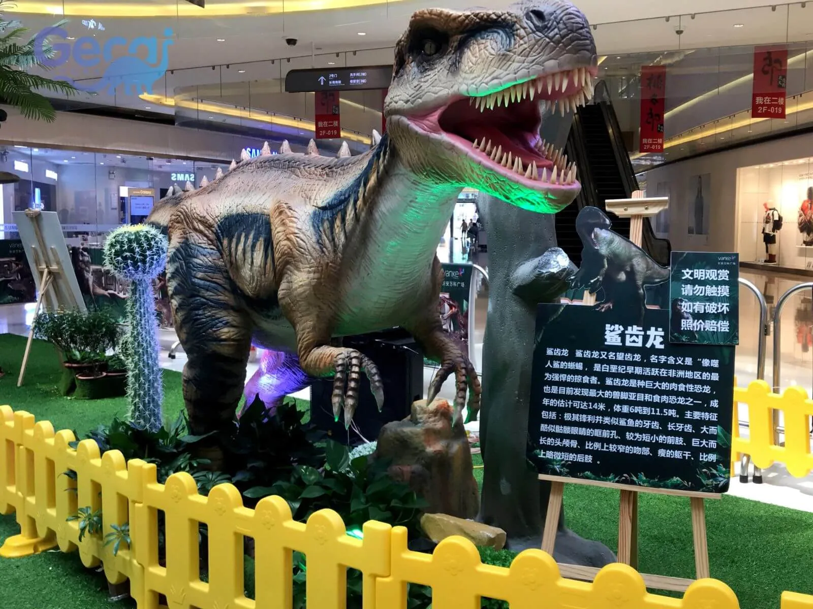 Dinosaur Exhibition in Xi'an