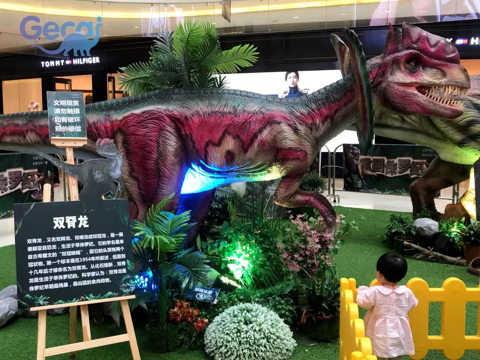 Dinosaur Exhibition in Xi'an