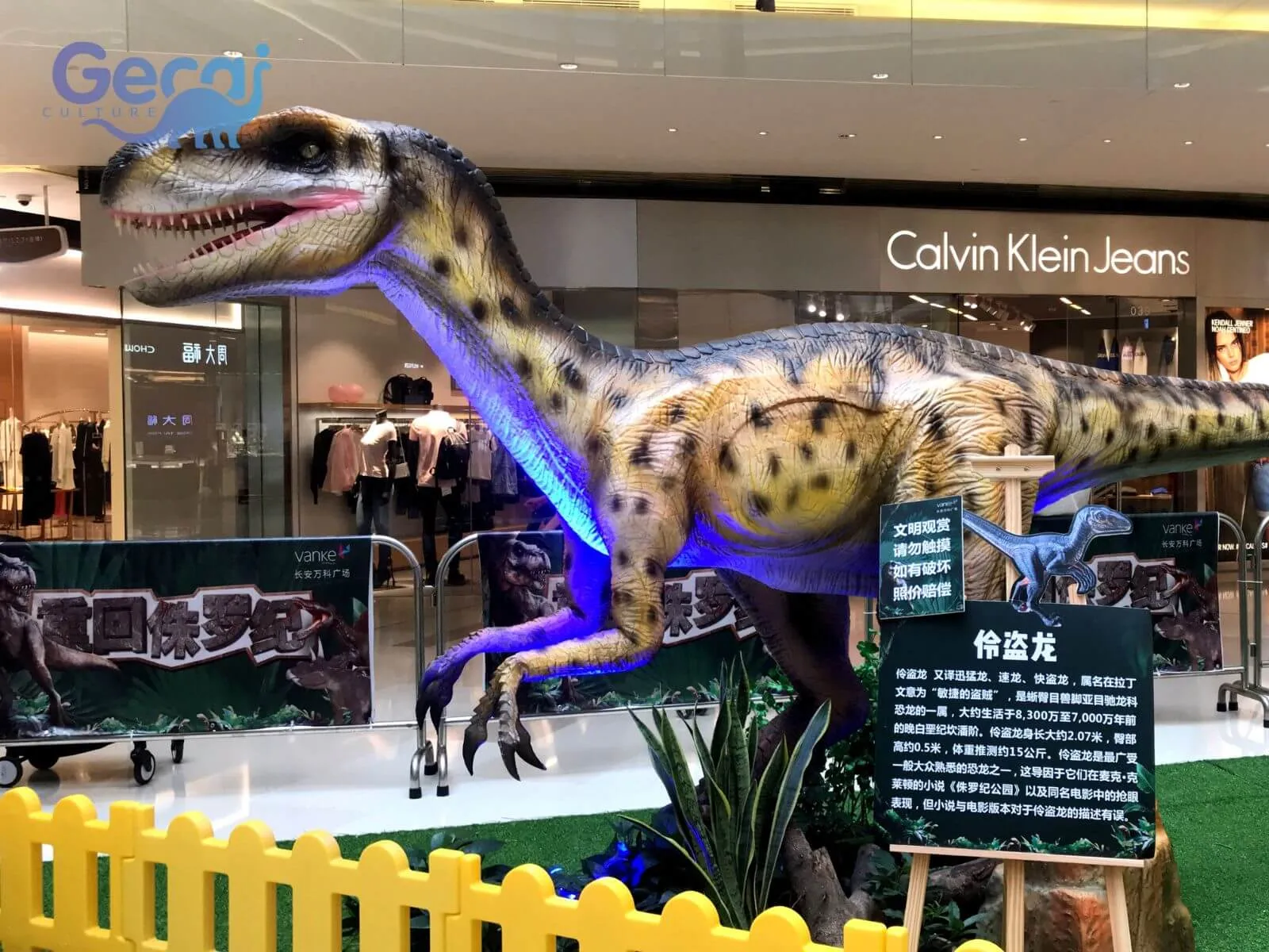 Dinosaur Exhibition in Xi'an