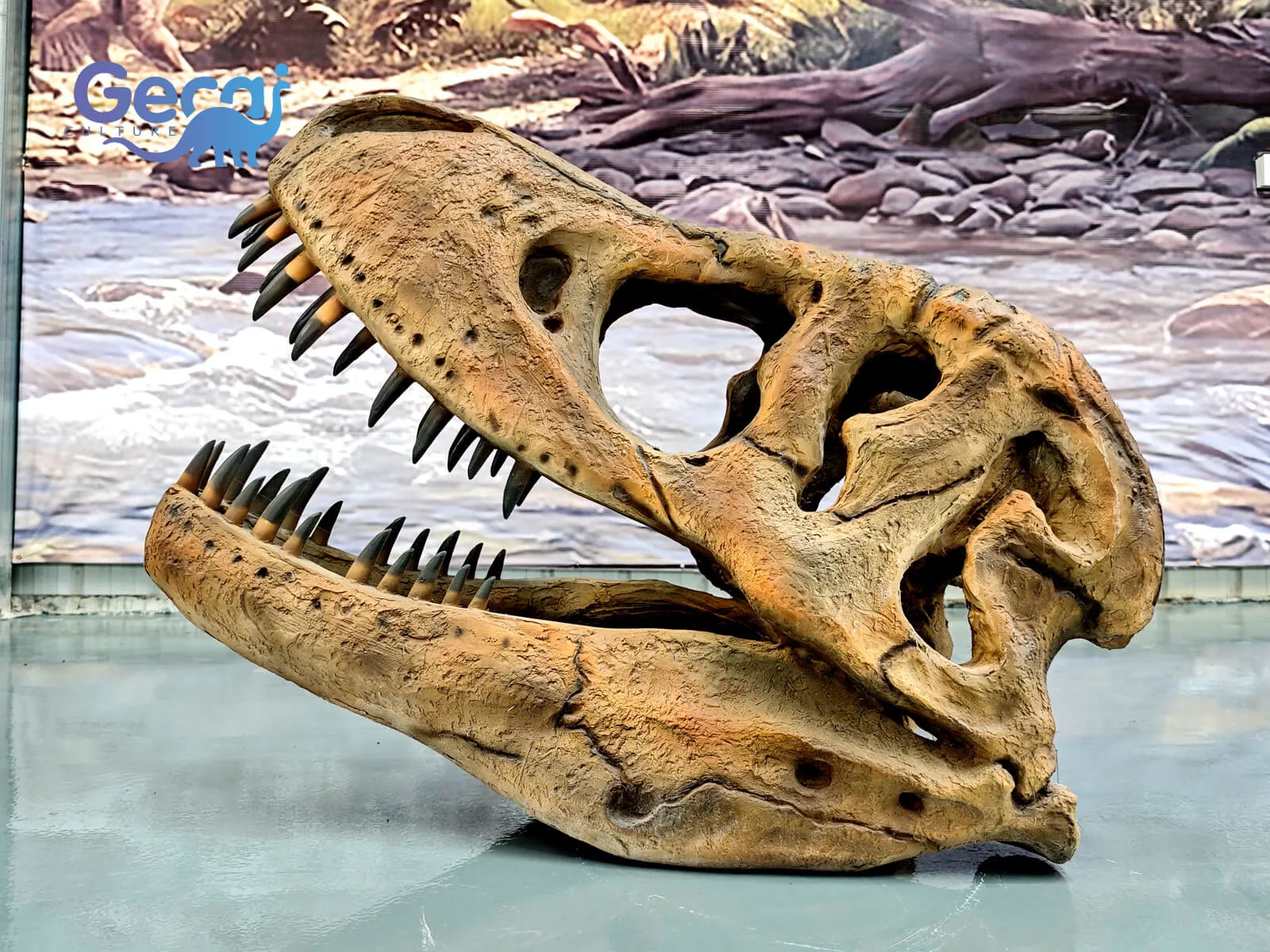 Realistic Trex Skull Fossil Replica for Sale
