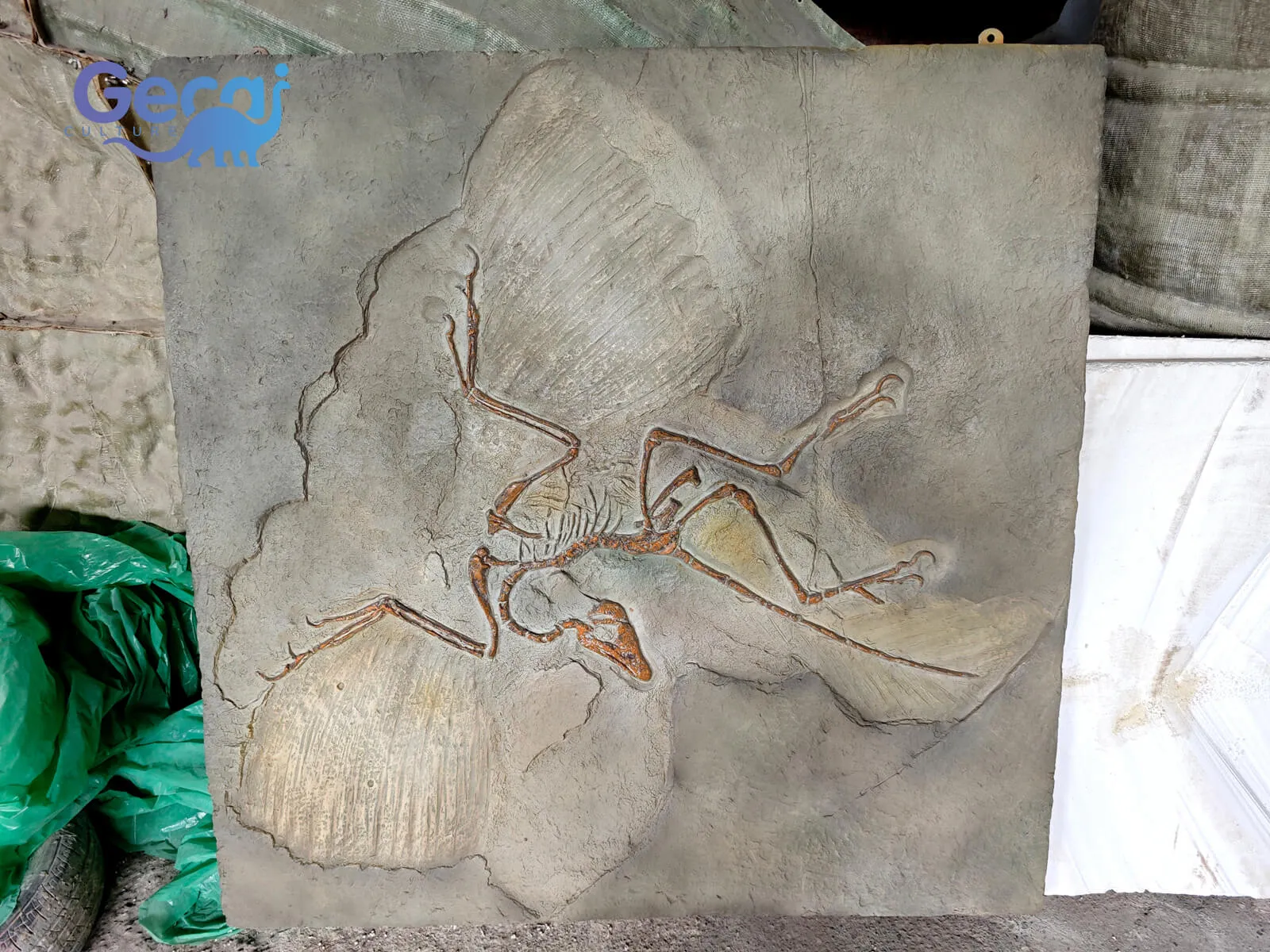 The Archaeopteryx Fossil Replica for Museum is a museum-quality display designed for natural history museums, science centers, educational institutions, and dinosaur exhibitions. Reproducing one of the most significant transitional fossils in evolutionary history, this highly detailed replica accurately showcases the d...
