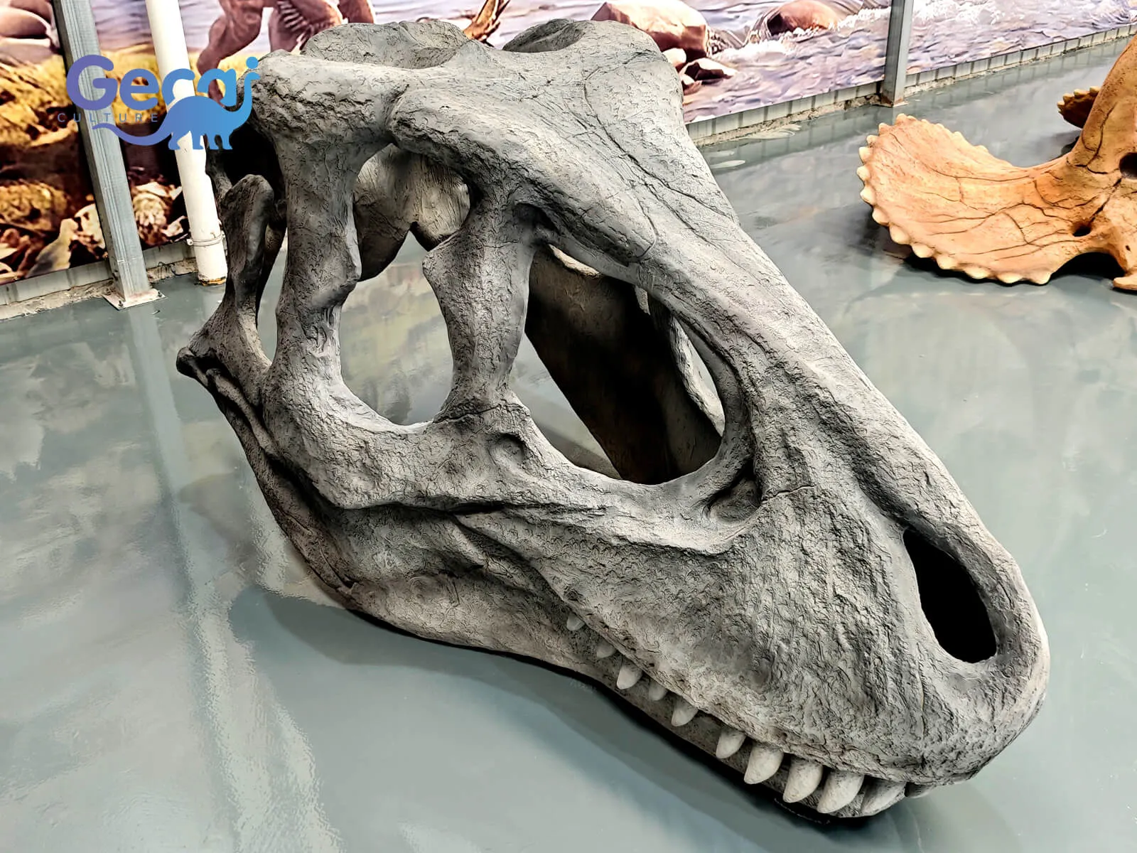 The Allosaurus Skull Fossil Replica for Museum is a museum-quality exhibit designed for natural history museums, science centers, educational institutions, and dinosaur-themed attractions. Faithfully reproducing the distinctive skull of the Late Jurassic predator, this fossil replica features realistic bone textures, a...
