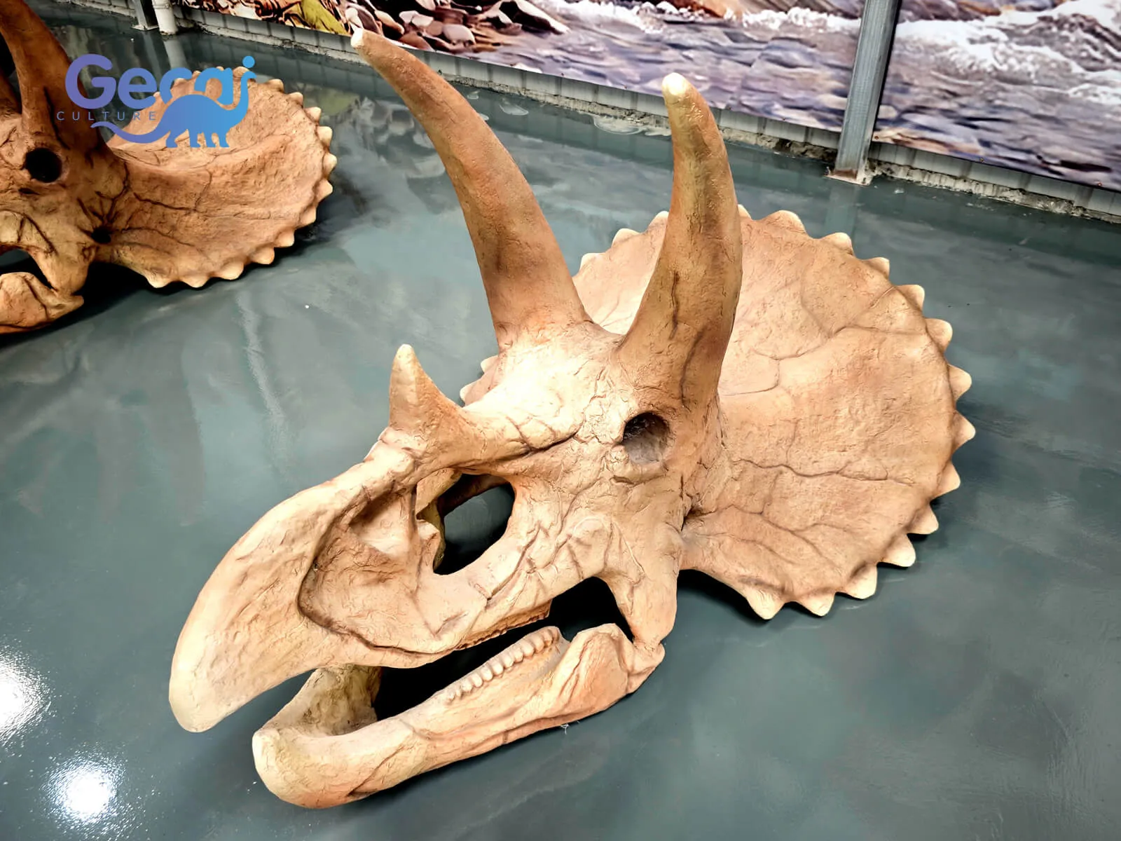 Triceratops Skull Fossil Replica for Museum is a museum-quality exhibit designed for natural history museums, science centers, educational institutions, and dinosaur-themed attractions. Faithfully replicating the iconic skull of Triceratops, this display features its signature three horns, expansive frill, realistic fo...