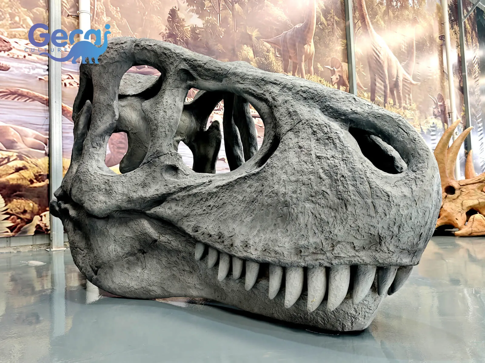 Trex Fossil Skull Replica for Museum is a museum-quality exhibit designed for natural history museums, science centers, educational institutions, and dinosaur-themed attractions. Faithfully reproducing the massive skull of Tyrannosaurus rex, this fossil replica features realistic bone textures, anatomically accurate pr...