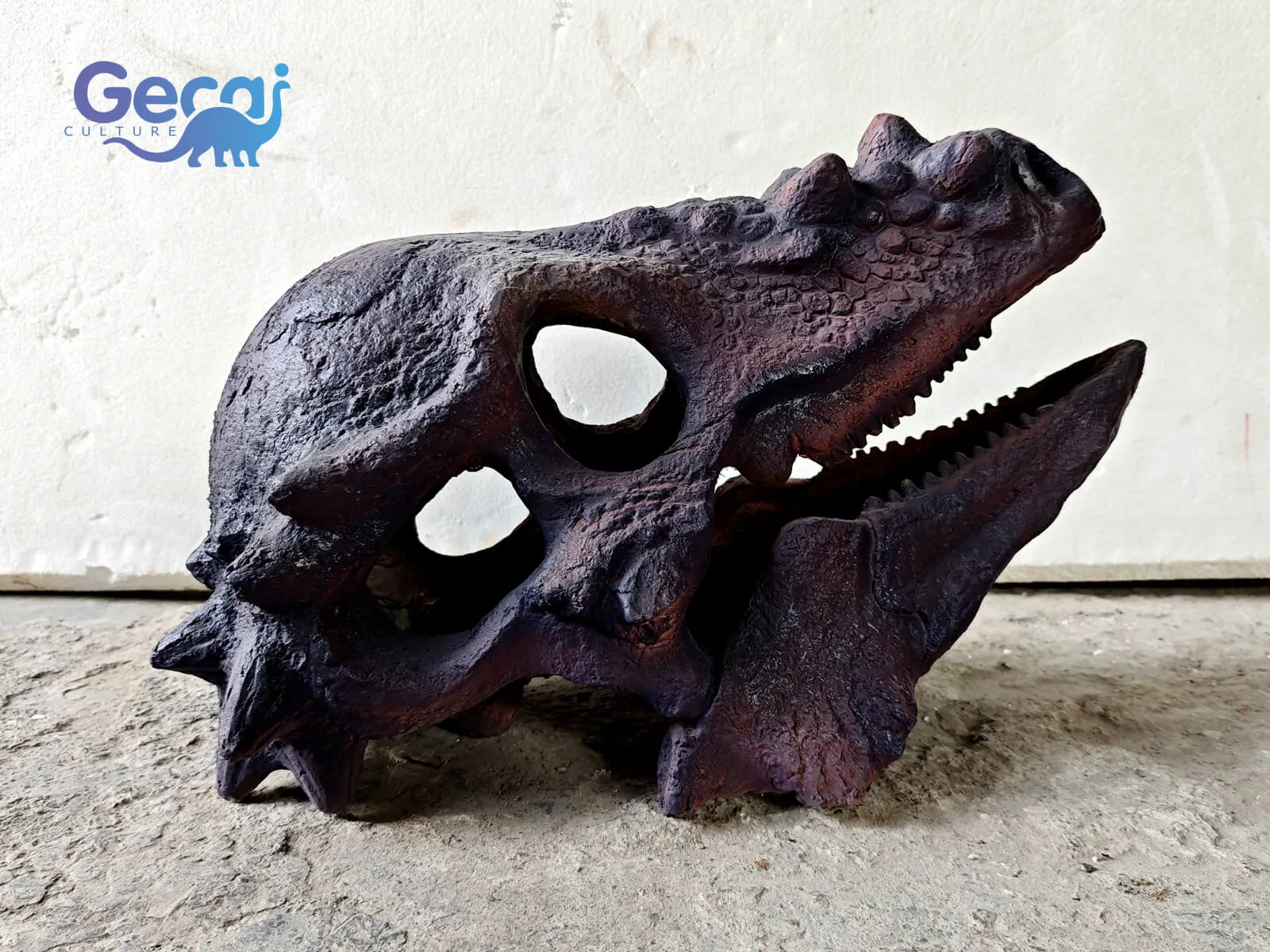 Museum Quality Pachycephalosaurid Skull Fossil Replica