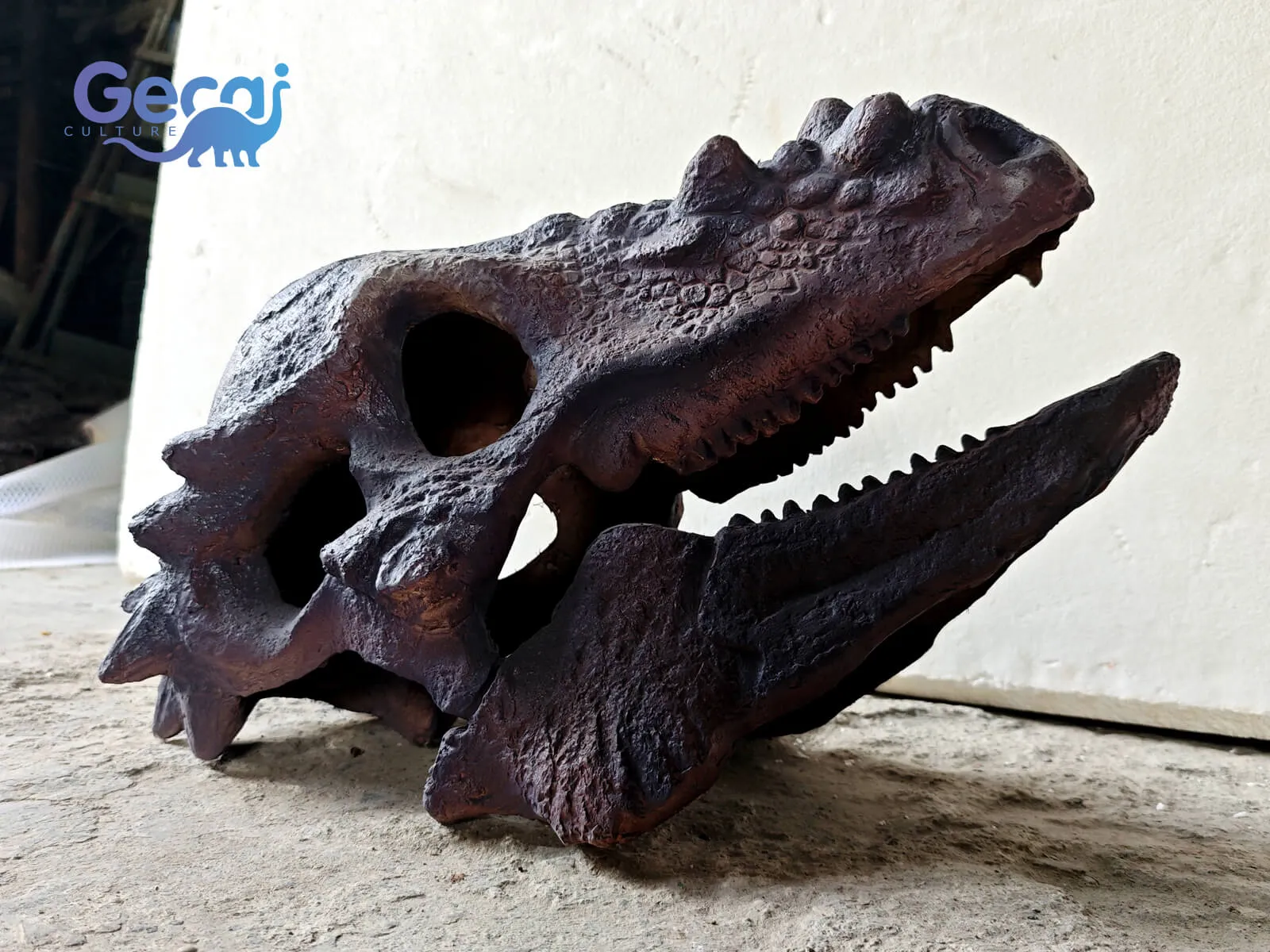 Museum Quality Pachycephalosaurid Skull Fossil Replica is a premium paleontological exhibit designed for natural history museums, science centers, educational institutions, and dinosaur-themed attractions. Expertly reproducing the distinctive dome-shaped skull of a pachycephalosaurid dinosaur, this replica features ana...