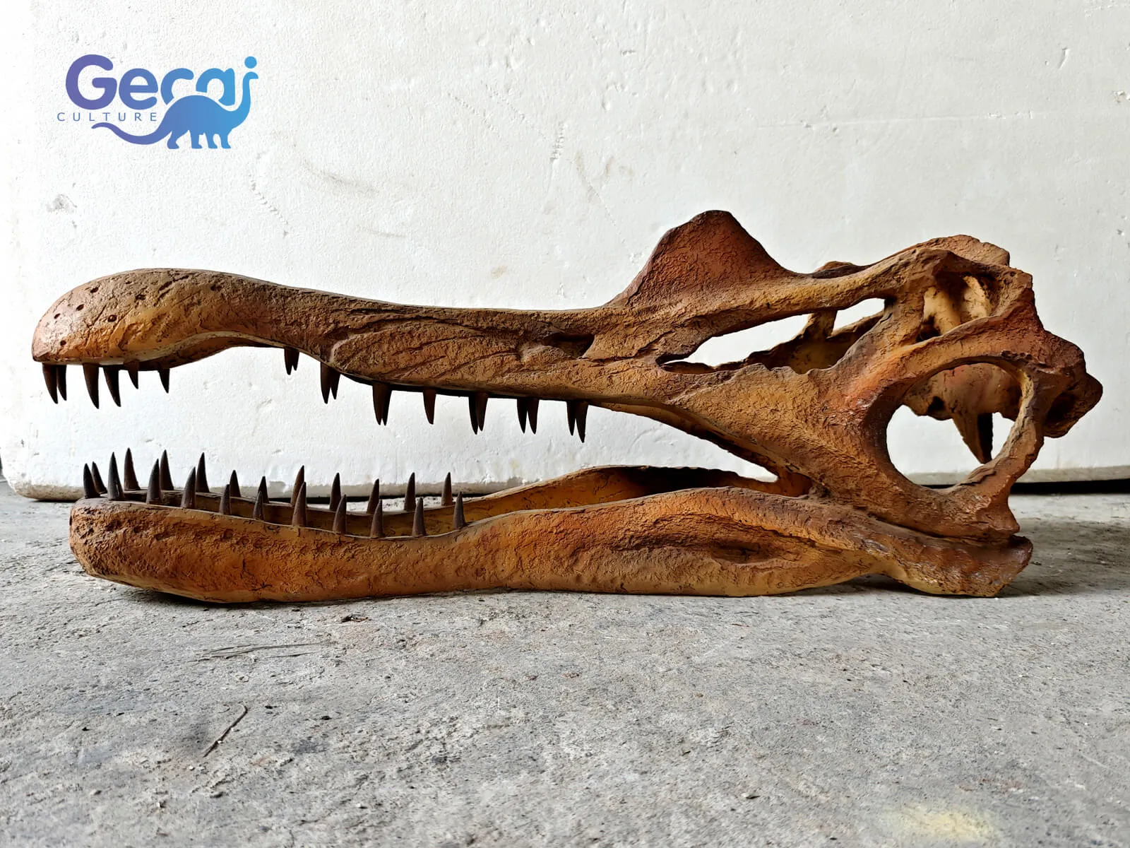 Realistic Spinosaurus Skull Replica for Museum Display is a museum-quality exhibit designed for natural history museums, science centers, educational institutions, and dinosaur-themed attractions. Featuring the Spinosaurus's distinctive elongated snout, anatomically accurate proportions, realistic fossil textures, and ...