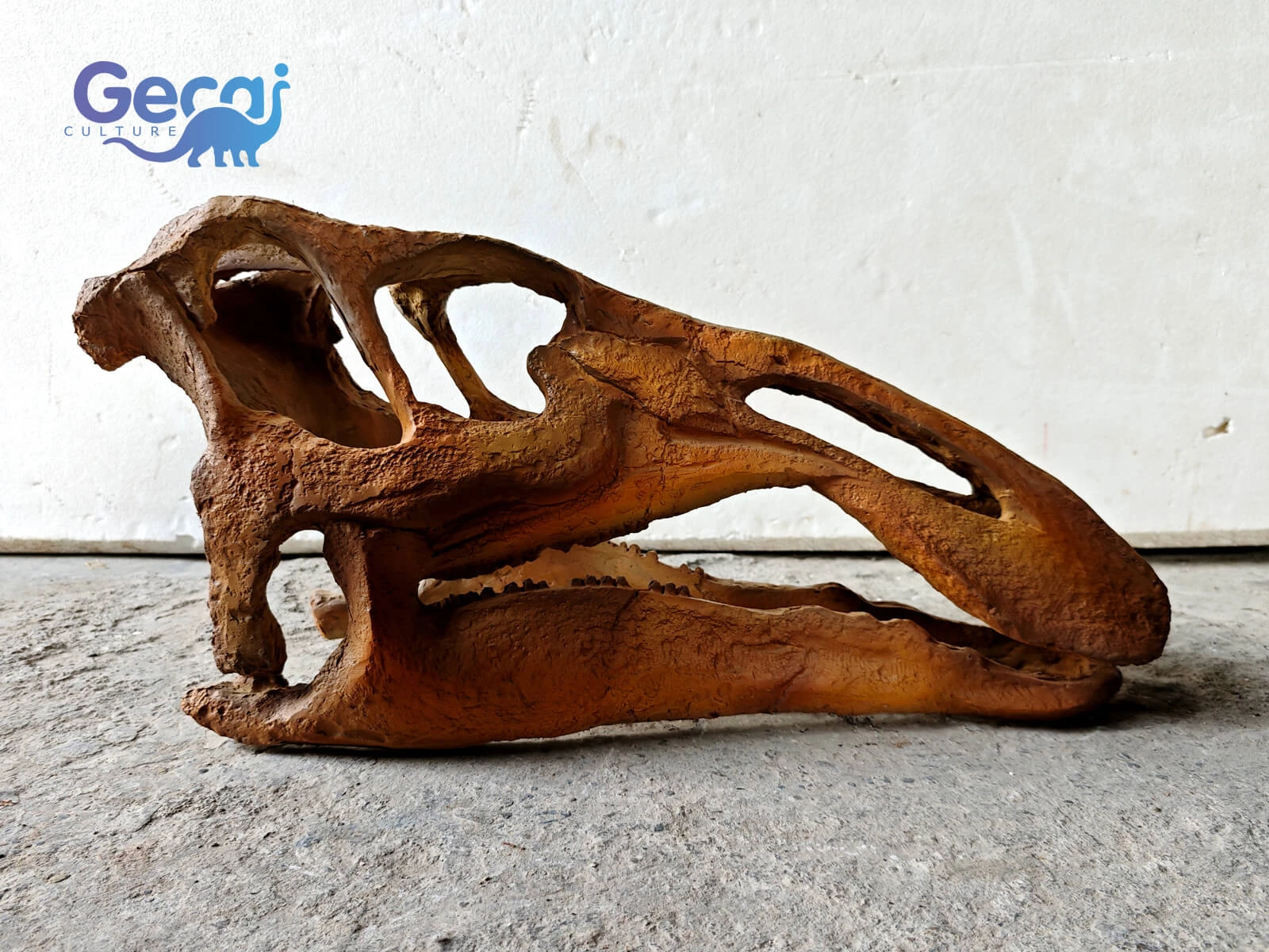Realistic Iguanodon Skull Fossil Replica