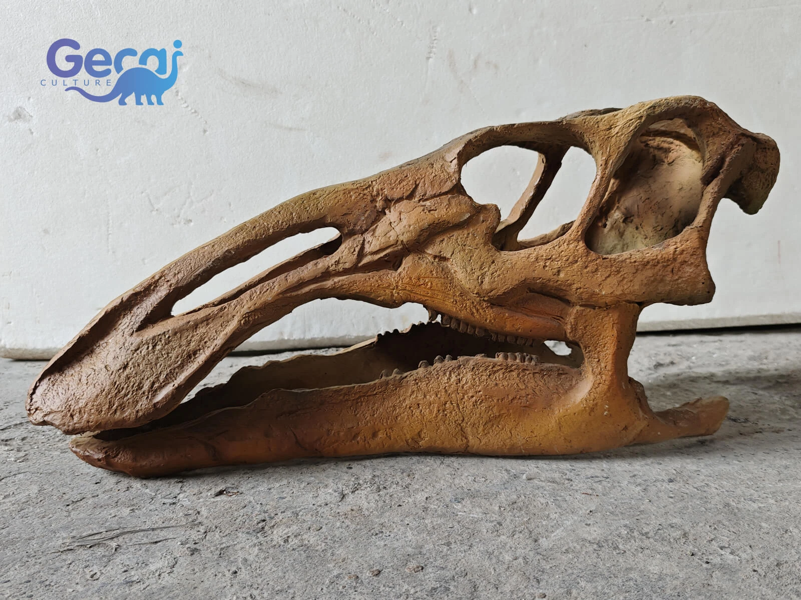 Realistic Iguanodon Skull Fossil Replica is a museum-quality display designed for natural history museums, science centers, educational institutions, and dinosaur-themed attractions. Featuring anatomically accurate proportions, realistic fossil textures, and finely handcrafted details, this replica faithfully reproduce...