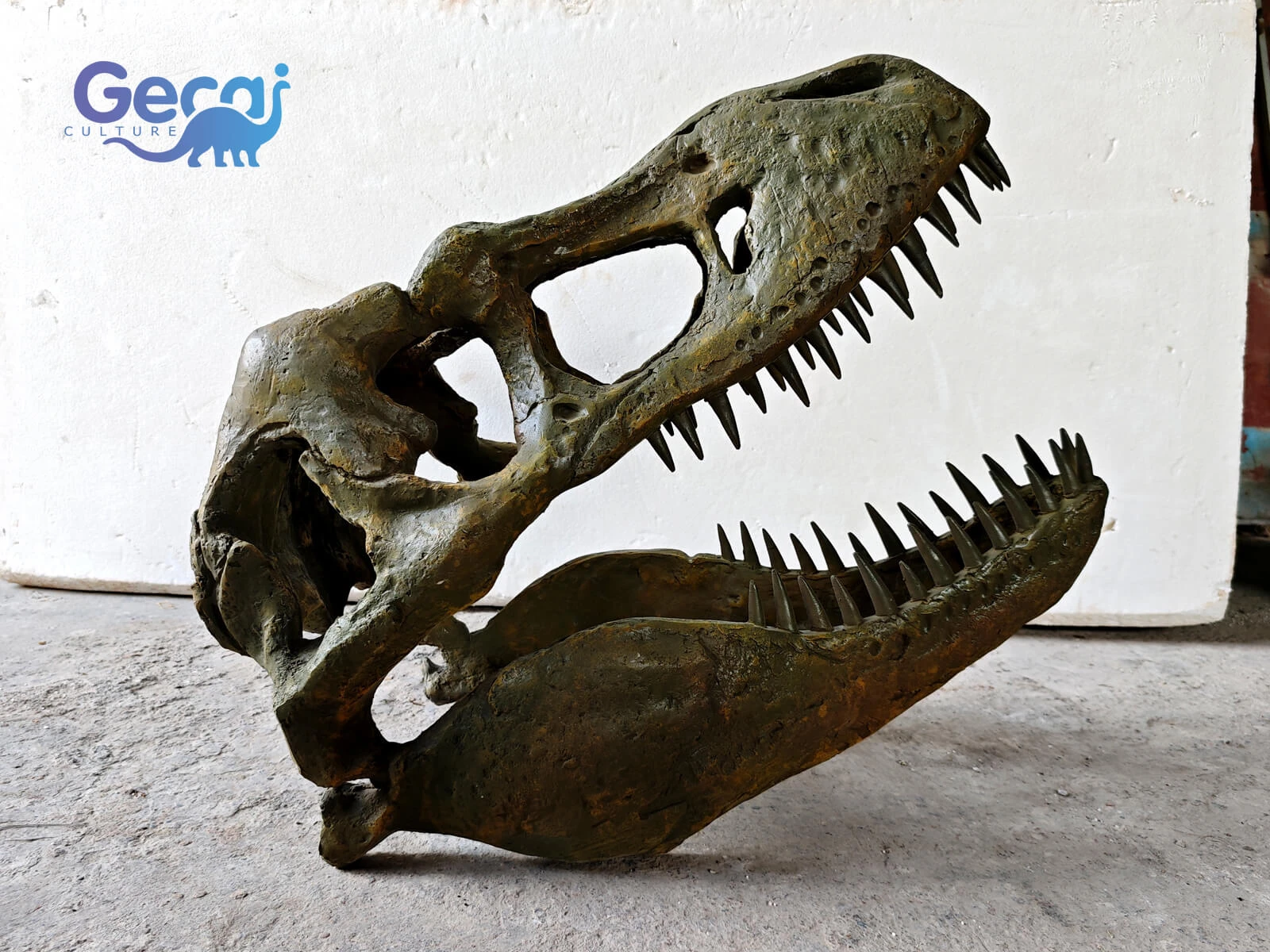 Dinosaur Skull Fossil Replica for Sale