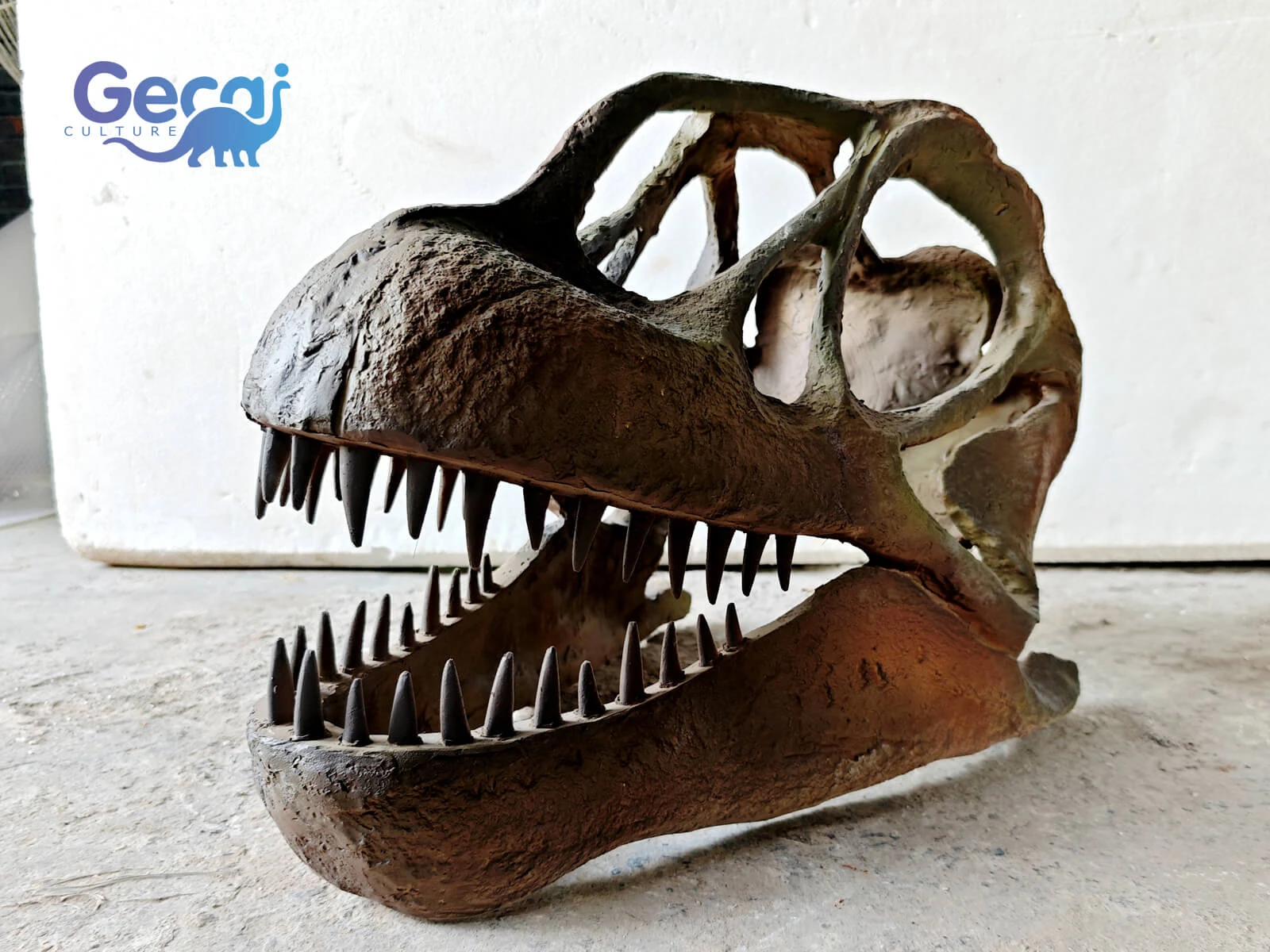 Life Size Dinosaur Skull Fossil Replica is a museum-quality display designed for natural history museums, science centers, educational institutions, and dinosaur-themed attractions. Featuring life-size dimensions, anatomically accurate proportions, realistic fossil textures, and handcrafted details, this replica delive...
