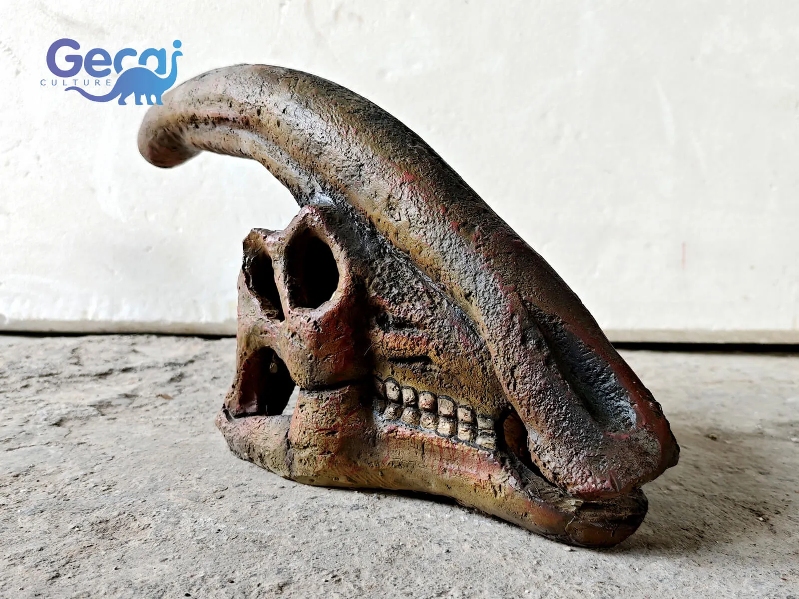 Parasaurolophus Skull Fossil Replica for Museum